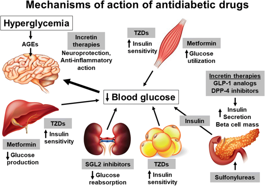 Ilustracija laboratorijskog istraživanja ili stanične terapije