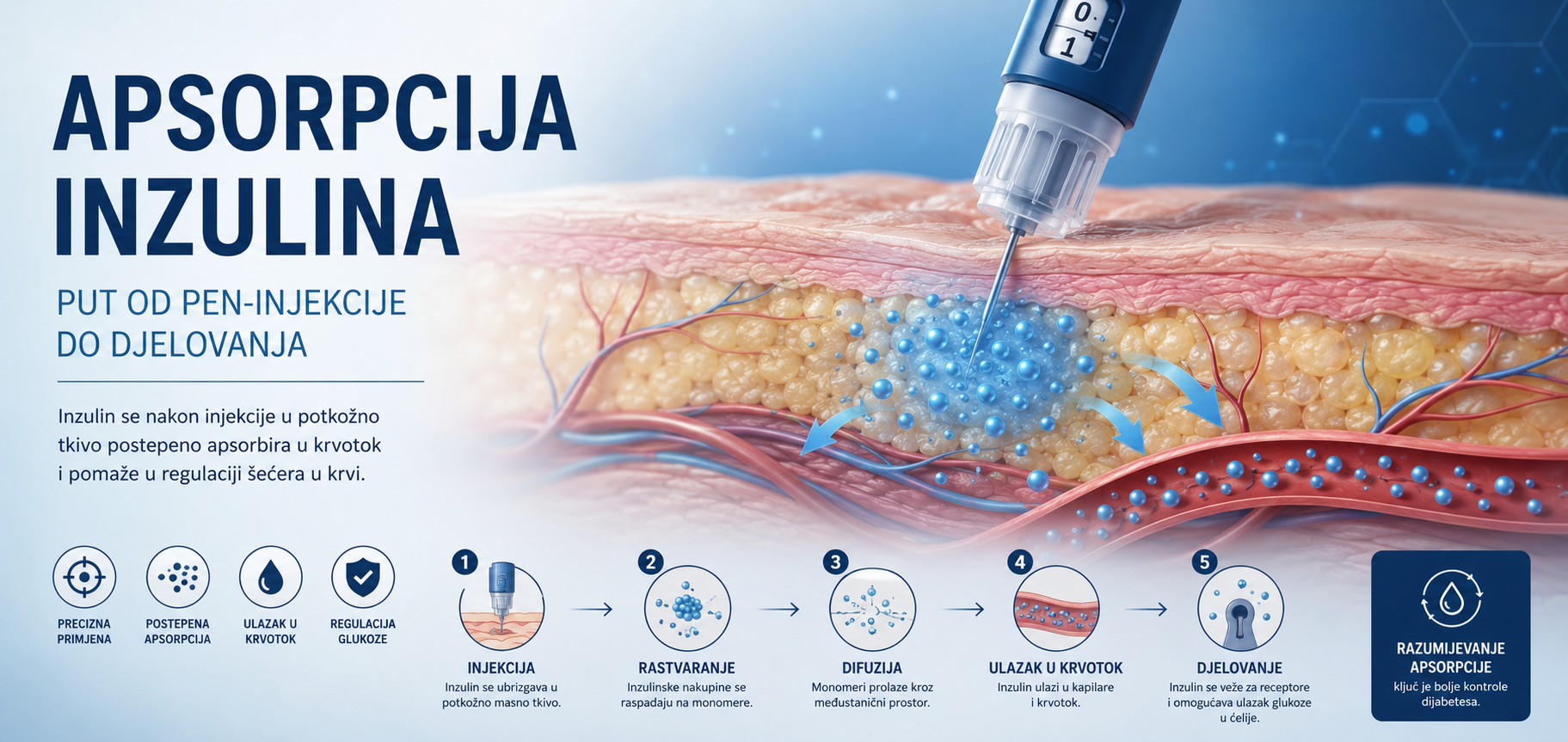 Apsorpcija inzulina – put od pen-injekcije do djelovanja